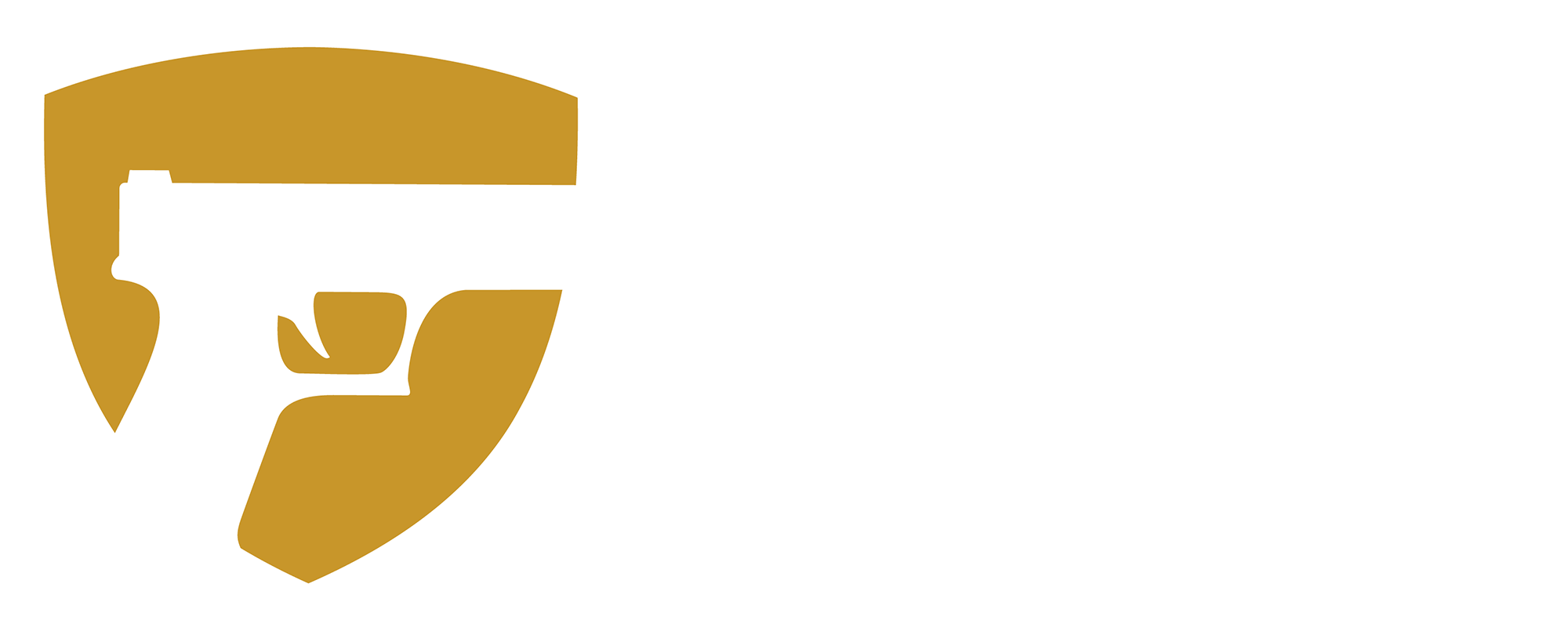 GunVault